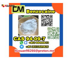 Manufacturer Supply Raw Material CAS 94-09-7 Benzocaine