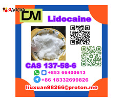 Manufacturer Supply Raw Material CAS 137-58-6 Lidocaine