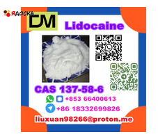 Manufacturer Supply Raw Material CAS 137-58-6 Lidocaine