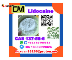 Manufacturer Supply Raw Material CAS 137-58-6 Lidocaine