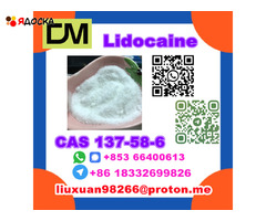 Manufacturer Supply Raw Material CAS 137-58-6 Lidocaine