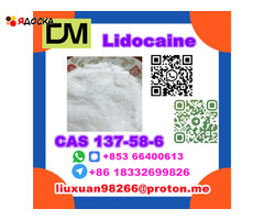 Manufacturer Supply Raw Material CAS 137-58-6 Lidocaine