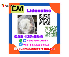 Manufacturer Supply Raw Material CAS 137-58-6 Lidocaine - 6