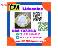 Manufacturer Supply Raw Material CAS 137-58-6 Lidocaine - 7