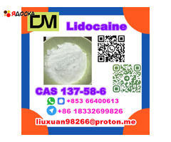 Manufacturer Supply Raw Material CAS 137-58-6 Lidocaine - 8