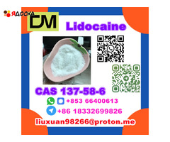 Manufacturer Supply Raw Material CAS 137-58-6 Lidocaine - 10