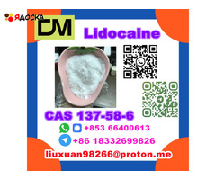 Manufacturer Supply Raw Material CAS 137-58-6 Lidocaine - 11