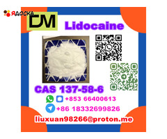 Manufacturer Supply Raw Material CAS 137-58-6 Lidocaine - 12