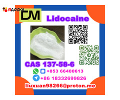 Manufacturer Supply Raw Material CAS 137-58-6 Lidocaine - 13