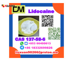 Manufacturer Supply Raw Material CAS 137-58-6 Lidocaine - 14