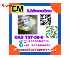 Manufacturer Supply Raw Material CAS 137-58-6 Lidocaine - 15