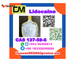 Manufacturer Supply Raw Material CAS 137-58-6 Lidocaine - 16