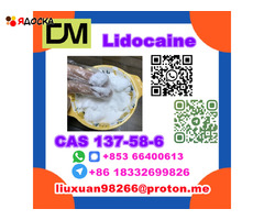 Manufacturer Supply Raw Material CAS 137-58-6 Lidocaine - 17