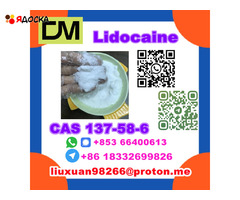 Manufacturer Supply Raw Material CAS 137-58-6 Lidocaine - 18