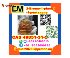 CAS 49851-31-2 2-Bromo-1-phenyl-1-pentanone - 11