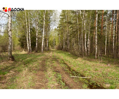 Дом для постоянного проживания в д.Севелино 20 км от р.Волга - 19