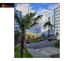 Квартира-студия 23 м* - 23