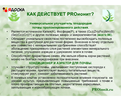 PROионит PROionit Кондиционер почв с Микроэлементами - 6