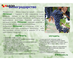 PROионит PROionit Кондиционер почв с Микроэлементами - 10