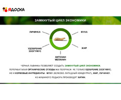 Зоогумус «Львинка» Почвенный кондиционер пролонгированного действия - 11