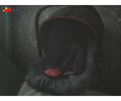 продам коляску Aviator 3 в 1 - 7
