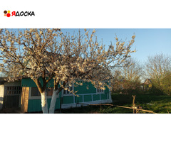 Продам дом