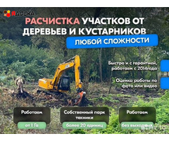 Расчистка территорий от деревьев и пней от 1 Га