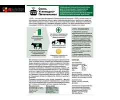 Патока свекловичная (сухая патока от 10т) для увеличения молочной продуктивности коров
