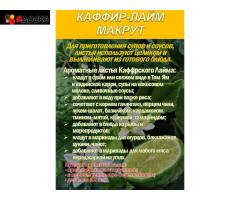 КАФФИР-ЛАЙМ. МАКРУТ. Лист сушеный.