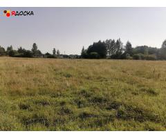Продам участок 50 сот., в д. Малеево(Краснинский р-он) - Смоленская венеция