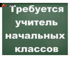 Учитель начальных классов требуется