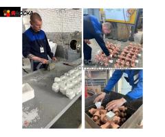 Литьё по газифицируемым моделям (ЛГМ)