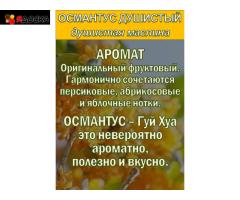 Функциональные купажи Зеленый чай с Османтусом и Саган-дайля - 8