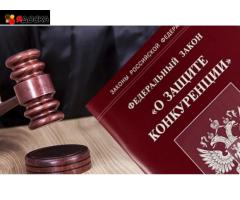 Частные юристы и адвокаты, профессионалы в*******ём деле с большим стажем. - 17