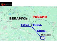 Продам готовый бизнес фермерское хозяйство - 11