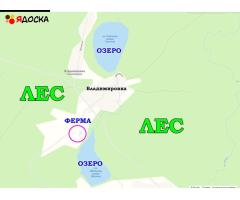 Продам готовый бизнес фермерское хозяйство - 16