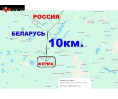 Продам готовый бизнес фермерское хозяйство - 19