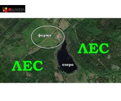 Продам готовый бизнес фермерское хозяйство - 21