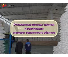Инвестиции в оптовую торговлю Сахаром, доход 80%