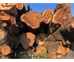 Акация, карагач круглый лес, пиломатериалы оптом. - 7