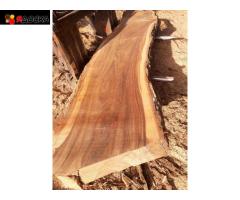 Акация, карагач круглый лес, пиломатериалы оптом. - 8