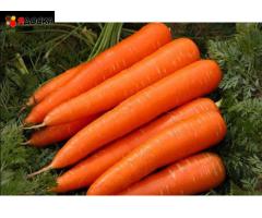 Свежие овощи и фрукты оптом и в розницу — напрямую от поставщика в Омске! - 7