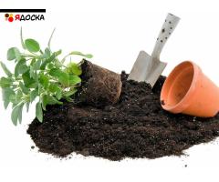 Почвогрунт