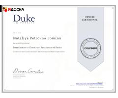 Репетитор по химии. Школьный курс. ЕГЭ