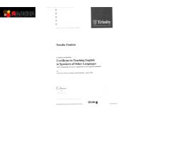 Профессиональный переводчик и репетитор