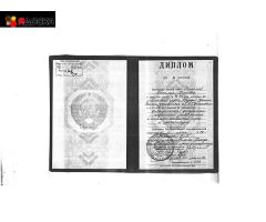 Профессиональный переводчик и репетитор