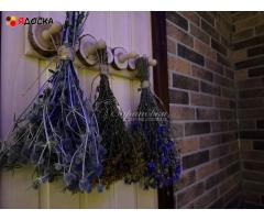 Аренда большой бани с дровяной печью на час на природе