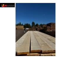 Качественный северный лес