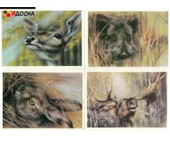 Открытки / 11