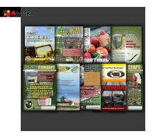 Графический дизайн